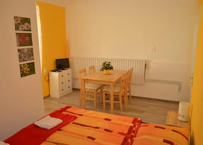 Pod Platanem Pensionat *